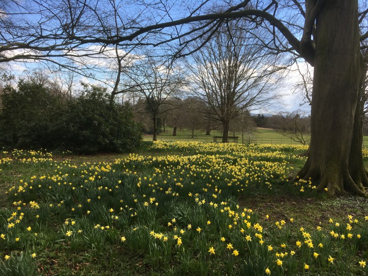 54BC8015-0471-455E-AB07-C2B9955A1997