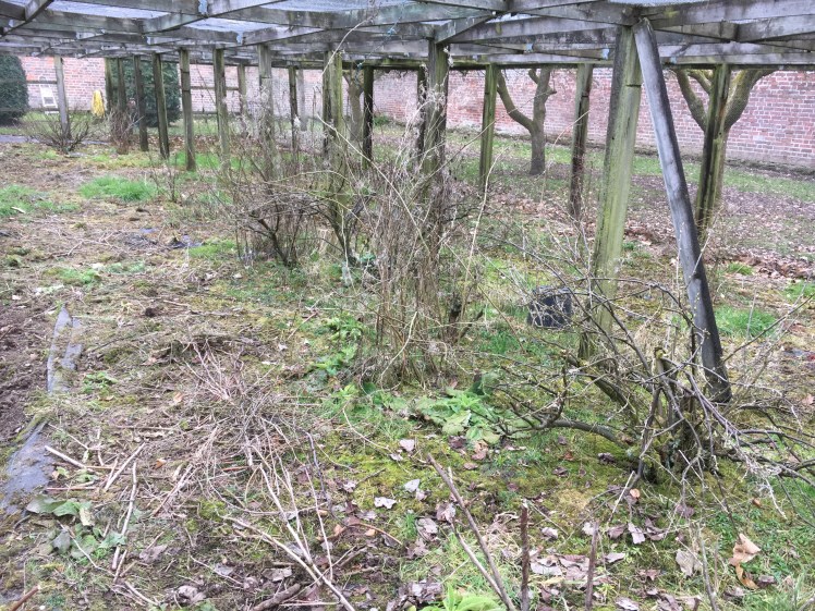 629AC321-FC9E-41DD-AD87-4745BFDB940B