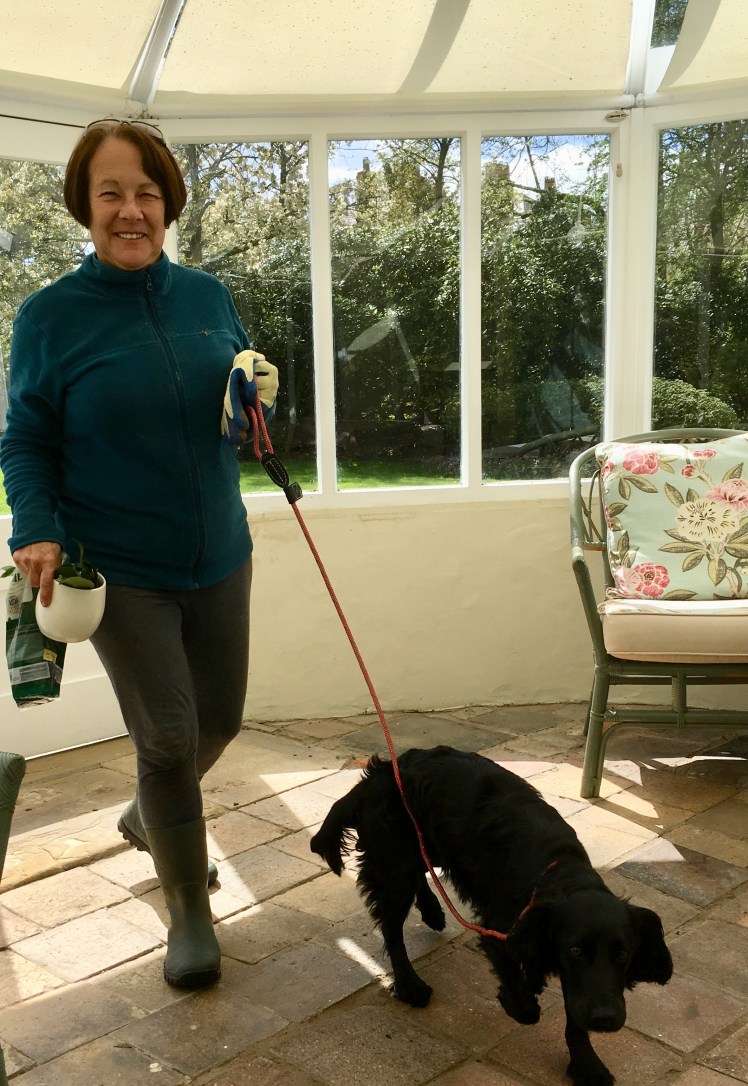 3A9D3C85-DB7B-4CE1-8711-0AA1B613F21E