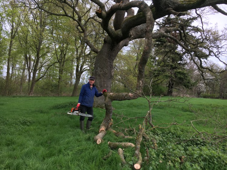 F1D19C71-0C2C-4198-A3B6-B0D7C45B2BCA