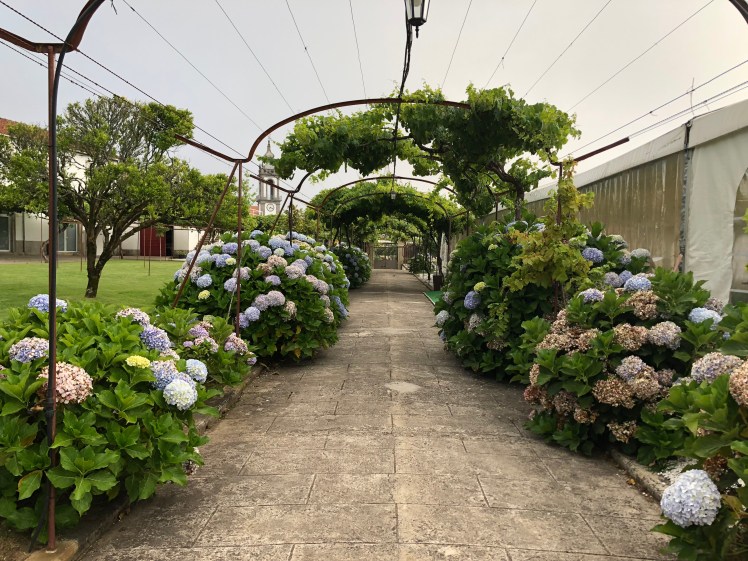 DCA6361C-D8A5-41A5-A923-393EA33F6183