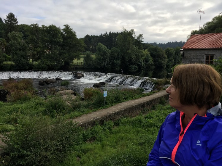 AEFEC5D0-3962-4865-89D6-716B46E382EF